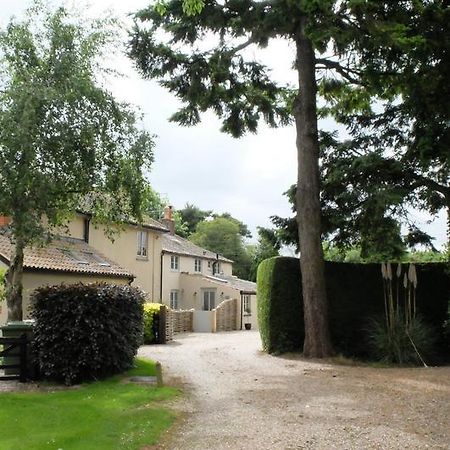 Pippin Heath House B&B Holt  Exterior foto